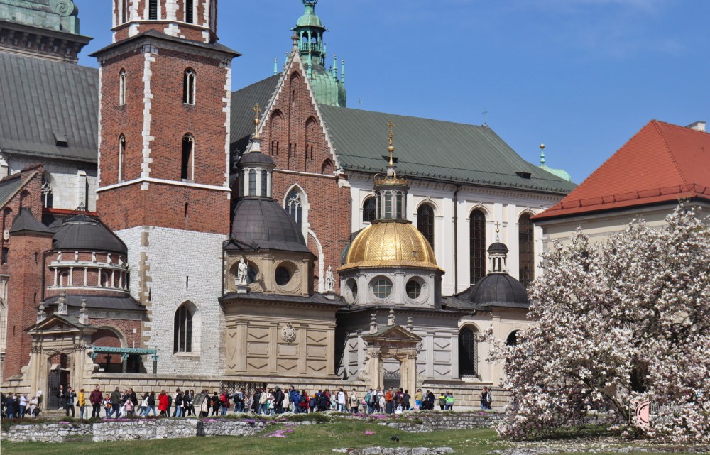 Wawel 2