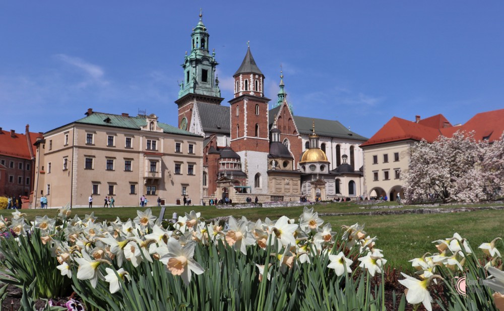 Wawel 1